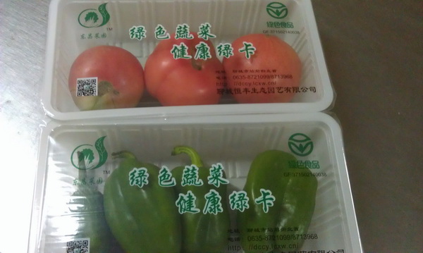 山東聊城