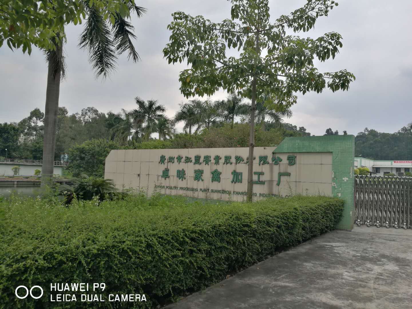 廣州卓味家禽加工廠(chǎng)
